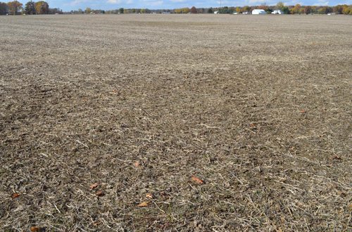 Property photo 11 - 75.3 Acres Offered in 2 Tracts